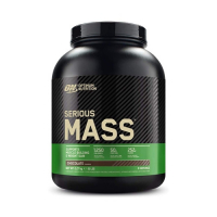 Serious Mass (6lbs)